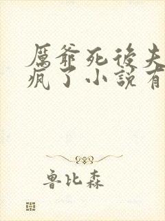 厉爷死后夫人她疯了小说有声免费阅读