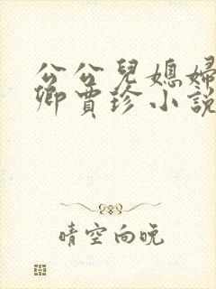 公公儿媳妇秦可卿贾珍小说免费阅读