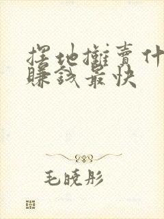 摆地摊卖什么好赚钱最快