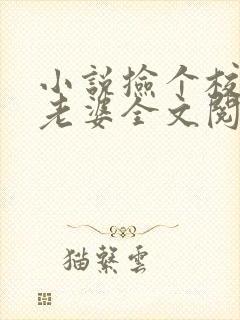 小说捡个校花做老婆全文阅读