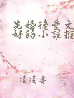 先婚后爱文笔超好的小说推荐