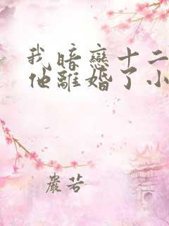 我暗恋十二年的他离婚了小说