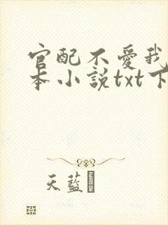 官配不爱我了全本小说txt下载