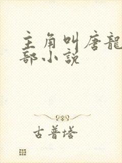 主角叫唐龙的全部小说