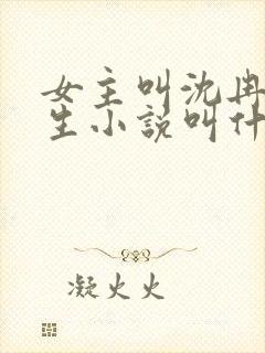 女主叫沈冉的重生小说叫什么