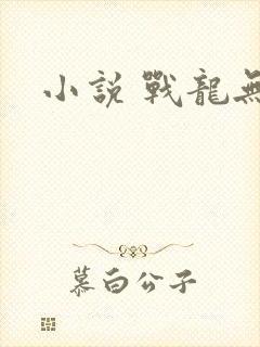 小说 战龙无双