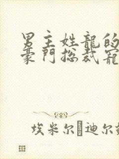 男主姓龙的小说豪门总裁宠文