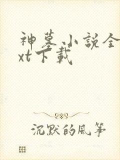 神墓小说全本txt下载