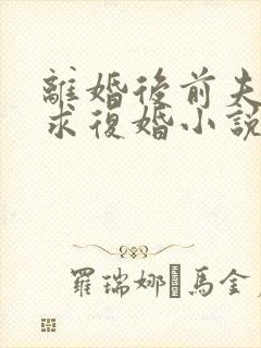 离婚后前夫哭着求复婚小说无弹窗