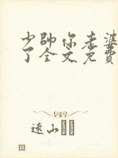 少帅你老婆又跑了全文免费