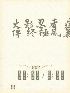 火影忍者 疾风传 终极风暴4