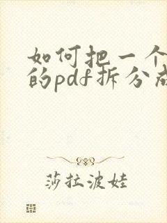 如何把一个多页的pdf拆分成多个