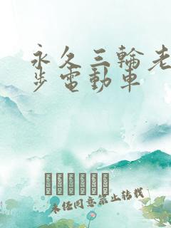 永久三轮老年代步电动车