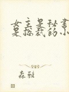 女主是秘书男主是总裁的小说