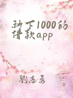 秒下1000的借款app