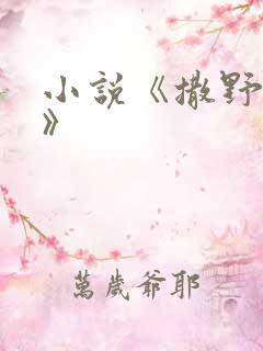 小说《撒野巫哲》