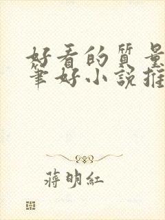 好看的质量高文笔好小说推荐