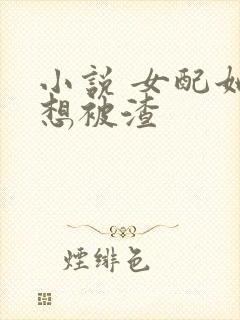 小说 女配她只想被渣