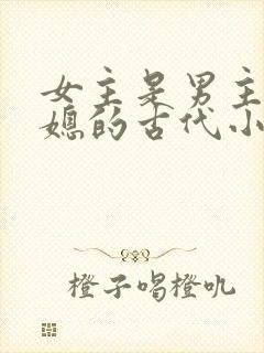 女主是男主的弟媳的古代小说