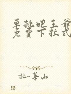 单挑吧王爷漫画免费下拉式六漫画