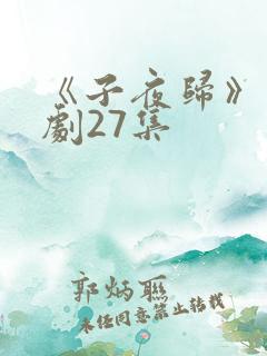 《子夜归》电视剧27集