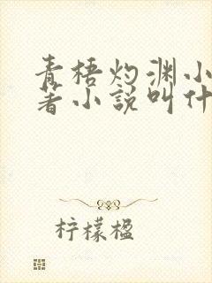 青梧灼渊小说原著小说叫什么名字