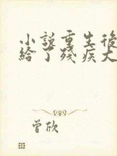 小说重生后我嫁给了残疾大佬更新