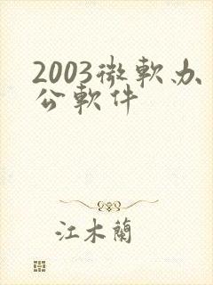 2003微软办公软件