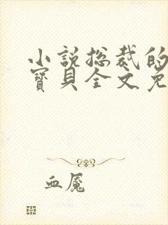 小说总裁的私有宝贝全文免费阅读