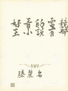 好看的电竞双男主小说有哪些