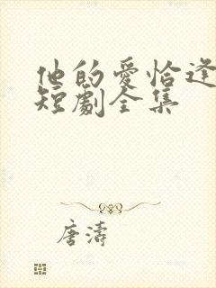 他的爱恰逢其时短剧全集