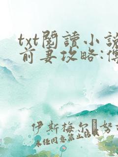 txt阅读小说前妻攻略:傅先生偏要宠我