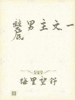 双男主文一更到底