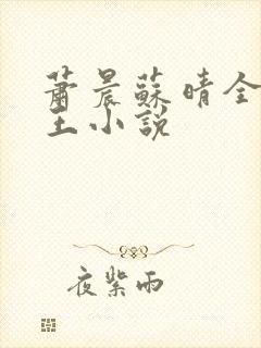 萧晨苏晴全能兵王小说