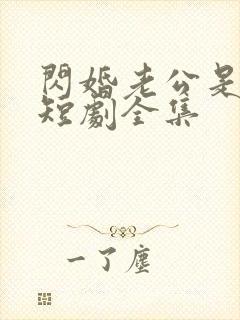 闪婚老公是豪门短剧全集