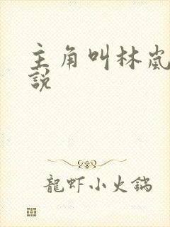 主角叫林岚的小说