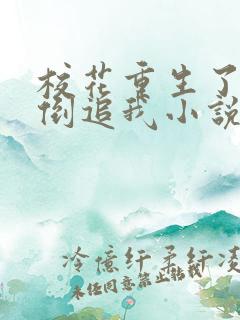 校花重生了疯狂倒追我小说