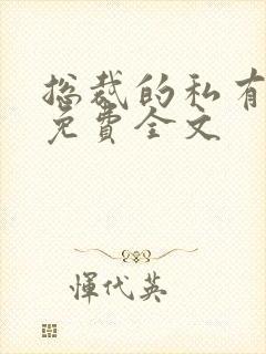 总裁的私有宝贝免费全文