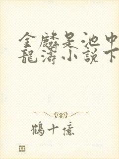 金麟是池中物侯龙涛小说下载