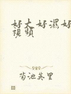 好大好湿好舒服视频