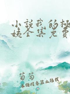 小说我的极品小姨全集免费