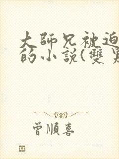 大师兄被迫承欢的小说(双男主)