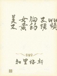 美女胸又www又黄的视频下载