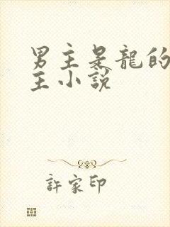 男主是龙的双男主小说