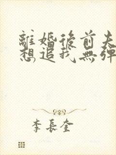 离婚后前夫总是想追我无弹窗