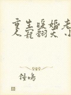 重生暖婚老公大人宠翻天 小说