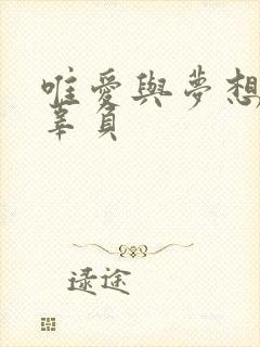 唯爱与梦想不可辜负