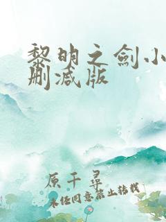 黎明之剑小说无删减版