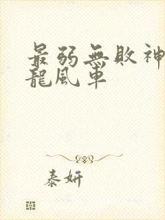 最弱无败神装机龙风车