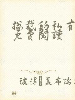 总裁的私有宝贝免费阅读